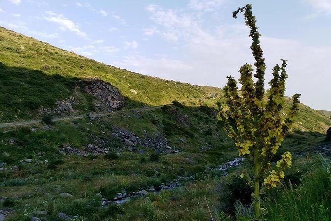 Mount Aragats, Amberd Fortress, Saghmosavank Monastery, Alphabet - private tour - Quick take: what you’ll love on this Mount Aragats private day