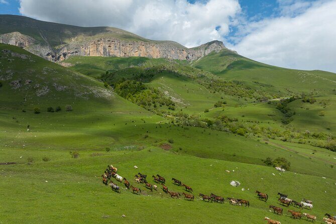 Off Road Tour to Dimats Mount Dilijan Armenia - Quick Hits Before You Go